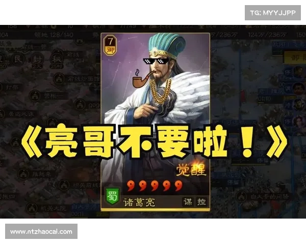 智谋开荒,诸葛亮战略版 智谋开荒,诸葛亮战略版